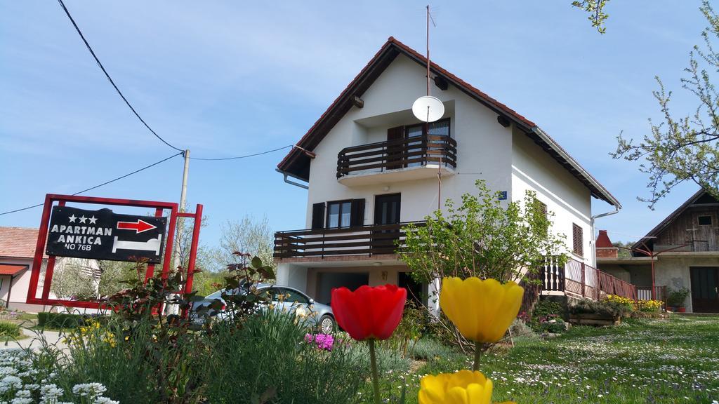 Apartment Ankica Selište Drežničko Exterior foto