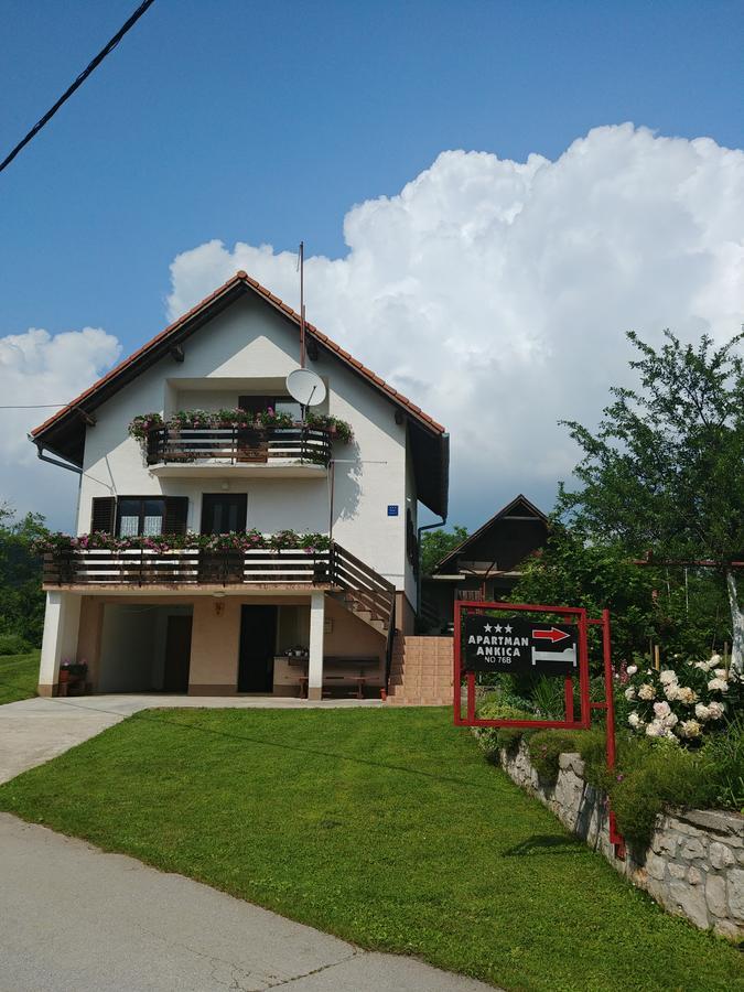 Apartment Ankica Selište Drežničko Exterior foto
